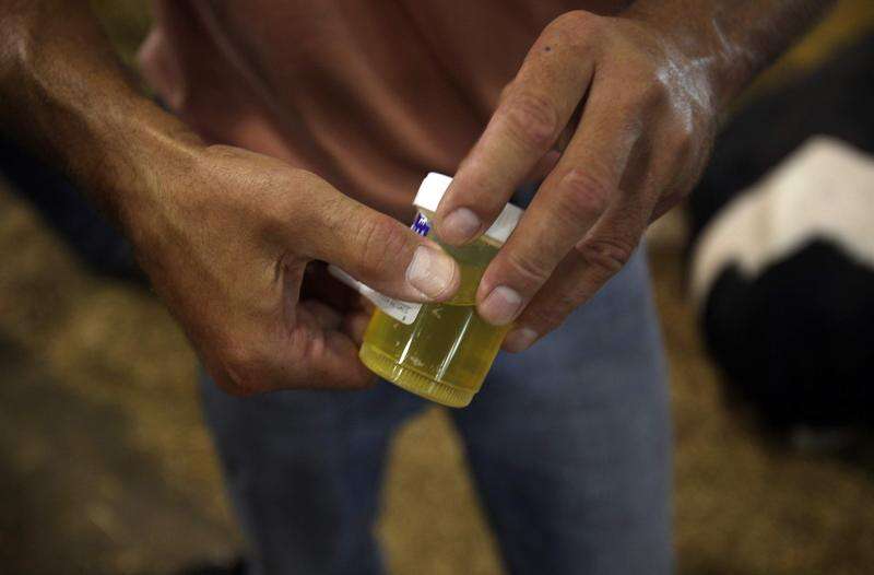 synthetic urine for drug test
